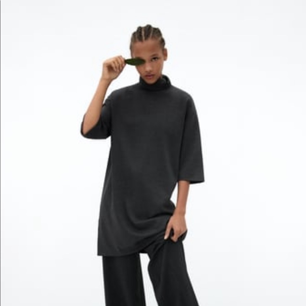 NWT Zara Basic Dress